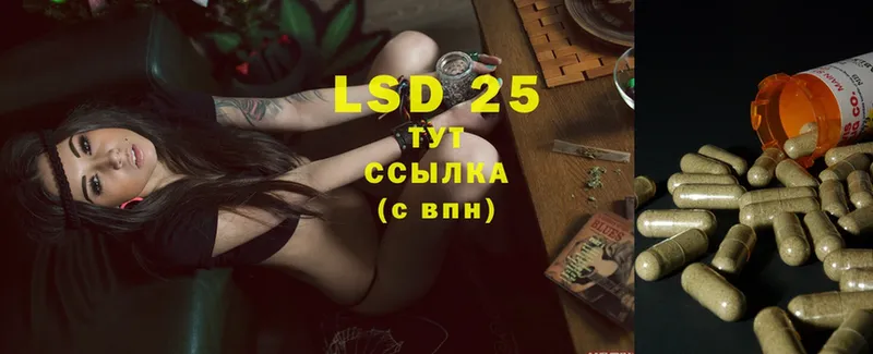 дарнет шоп  Гдов  LSD-25 экстази ecstasy 